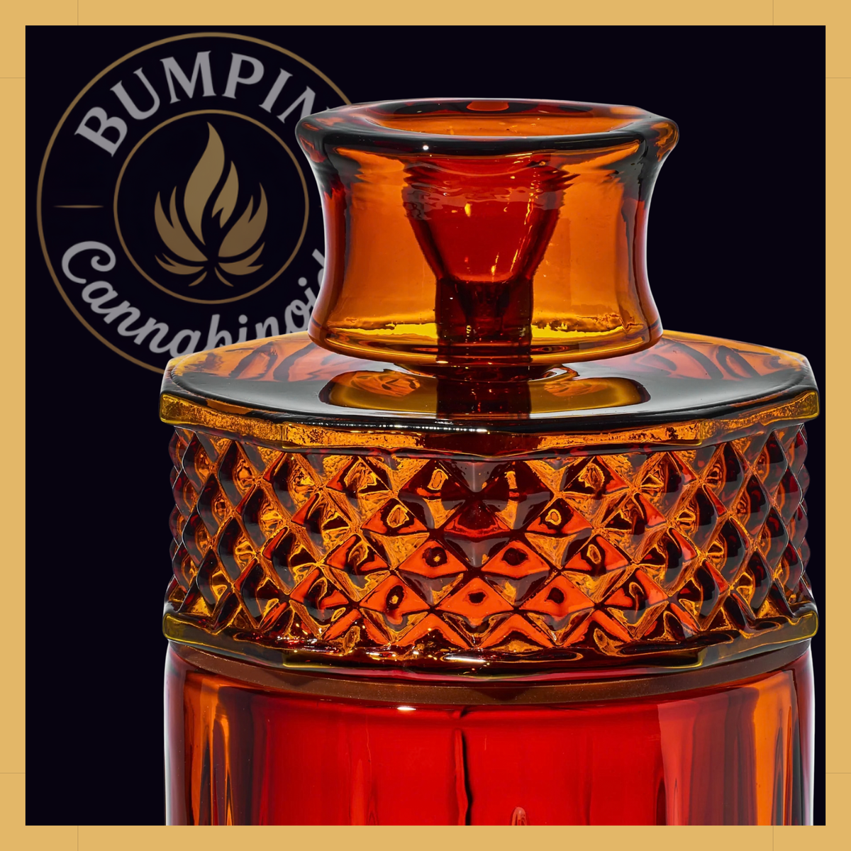 NWTN Home Highball borosilicate glass gravity system - Baltic Amber