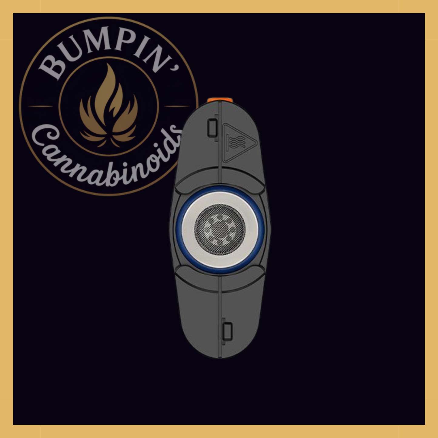 Storz & Bickel Mighty+