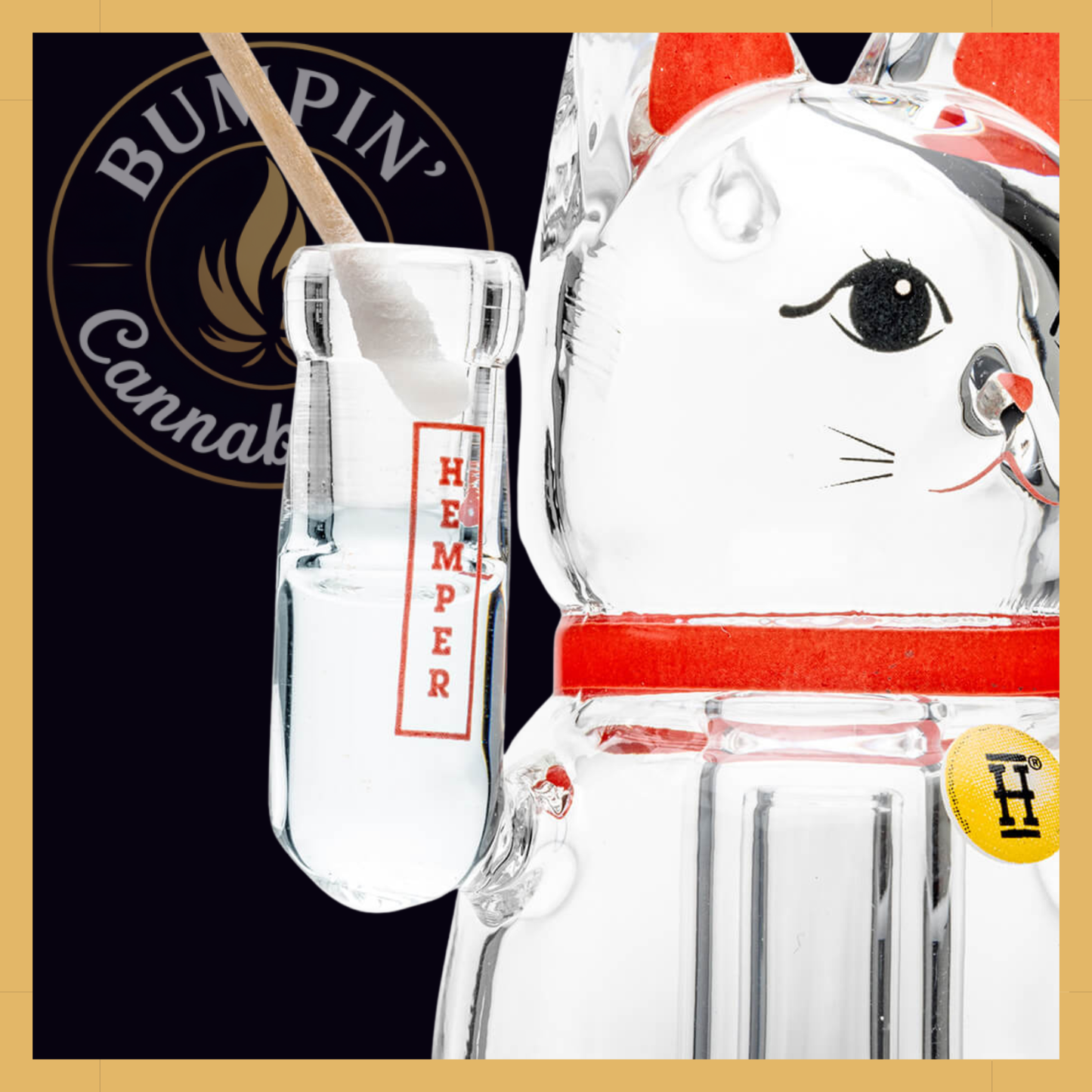 Lucky Money Cat – Peak Top