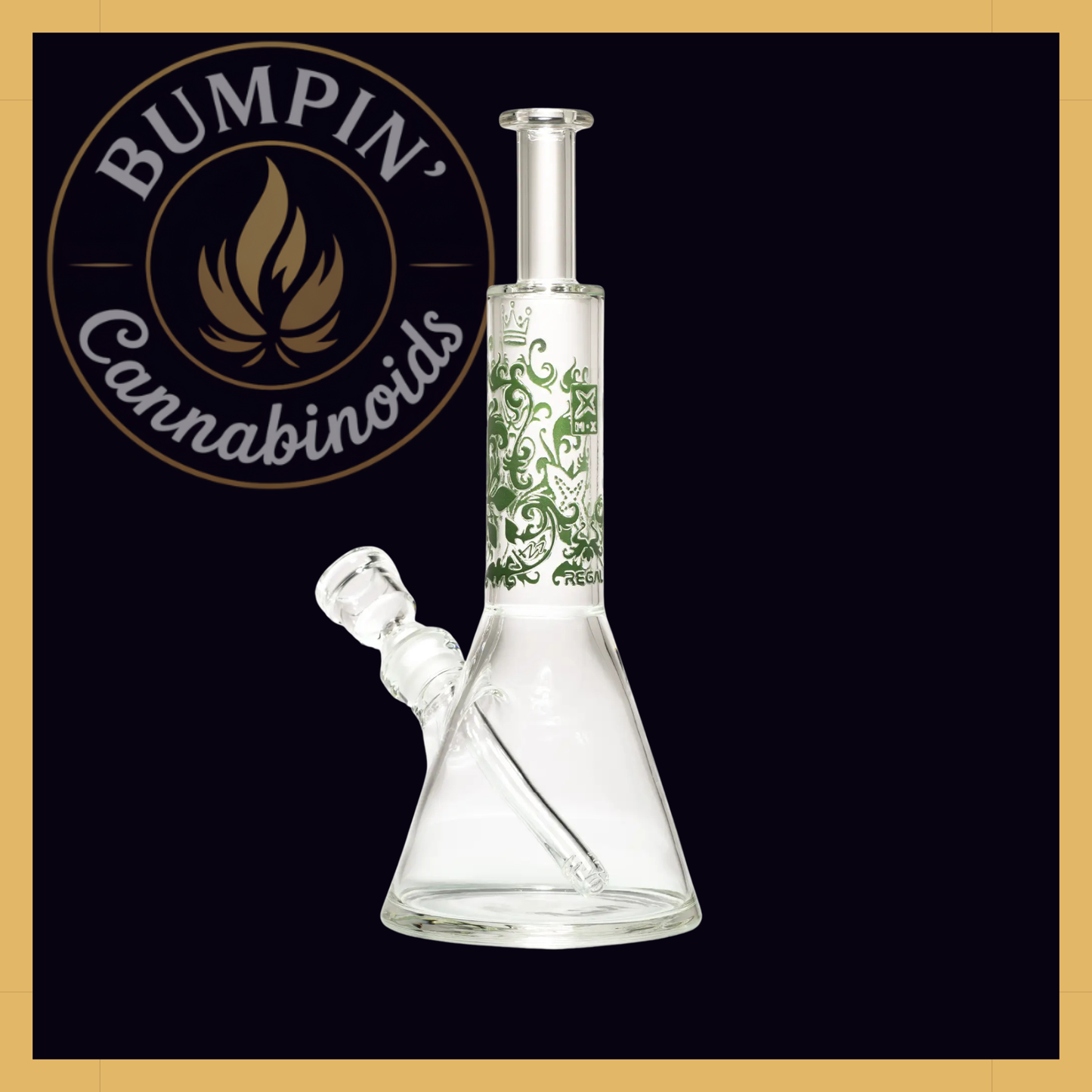 Regal 14" Beaker Glass