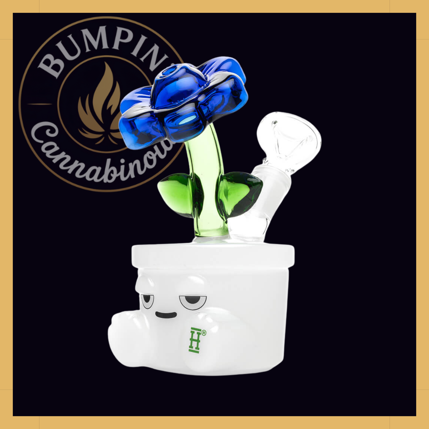 Bloom Glass | Hemper