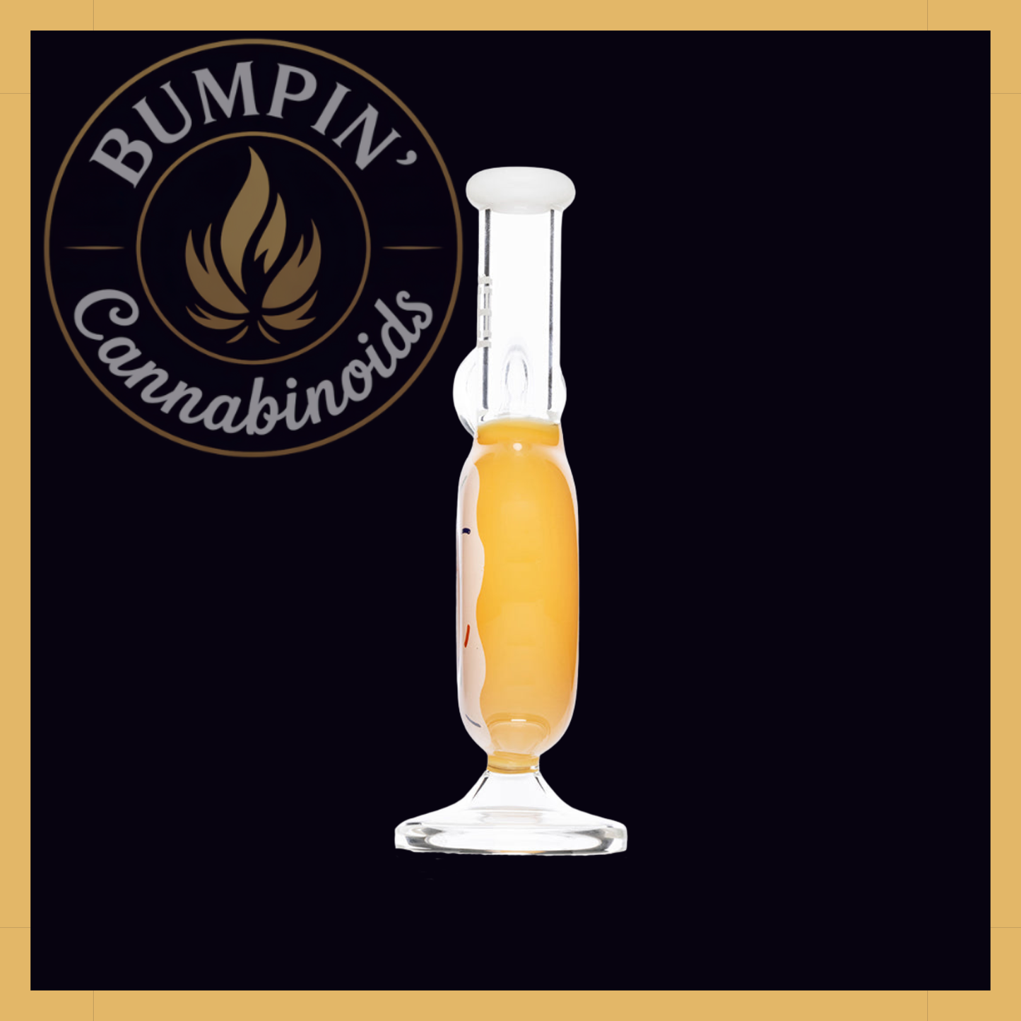 Donut Glass | Hemper