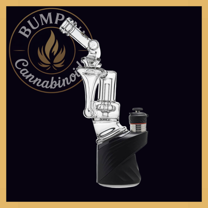 Calibear DUO RBR Recycler angled neck