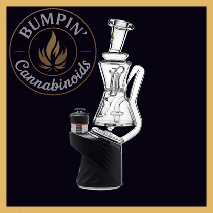 Gilly Recycler Glass Attachment | Calibear
