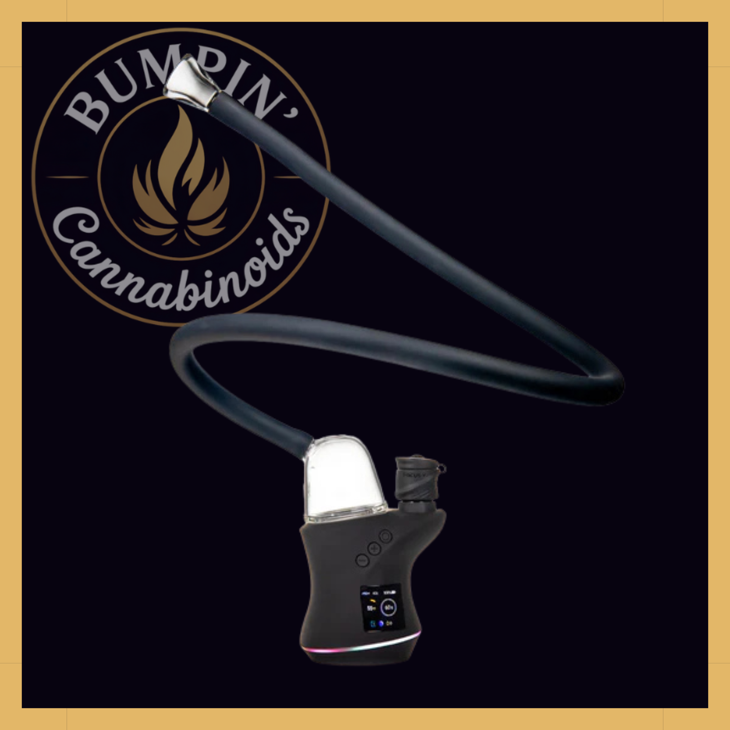 MJ Arsenal The Bridge – Focus V Carta Top