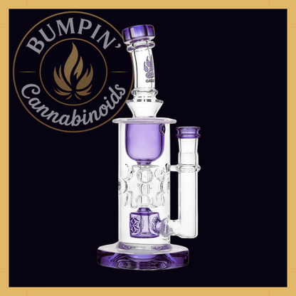 Calibear Straight Fab Torus Glass Rig | Seed of Life Perc