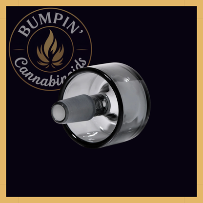 NWTN Home Vesper Bowl