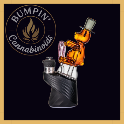 MJ Arsenal Teddy – Peak Top