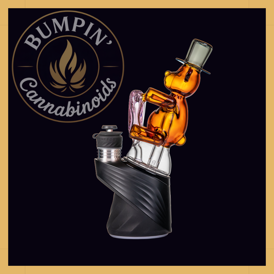 MJ Arsenal Teddy – Peak Top