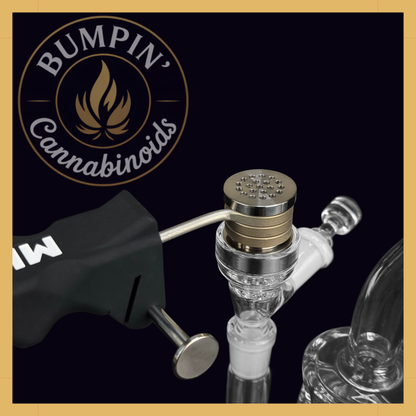 Glass Bowl with Pass-Through Carb