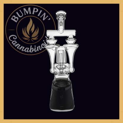Calibear DUO RBR Recycler borosilicate glass