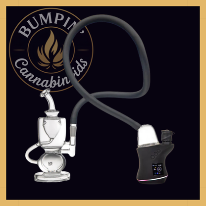 MJ Arsenal The Bridge – Focus V Carta Top