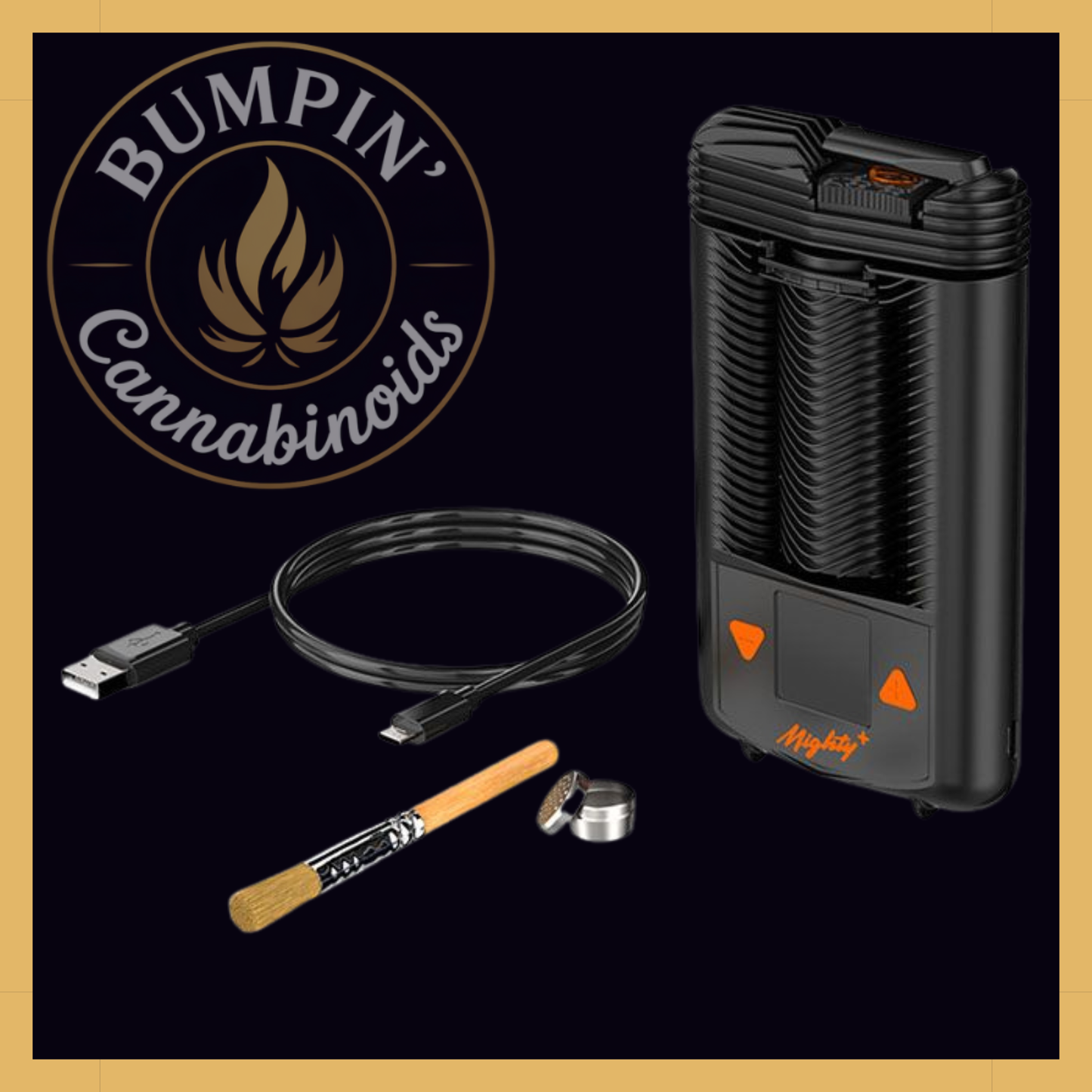 Storz & Bickel Mighty+