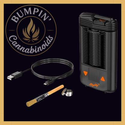 Storz & Bickel Mighty+