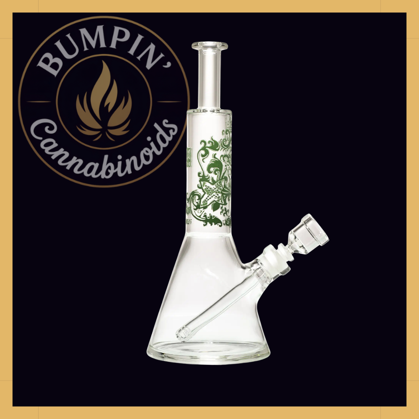 Regal 14" Beaker Glass