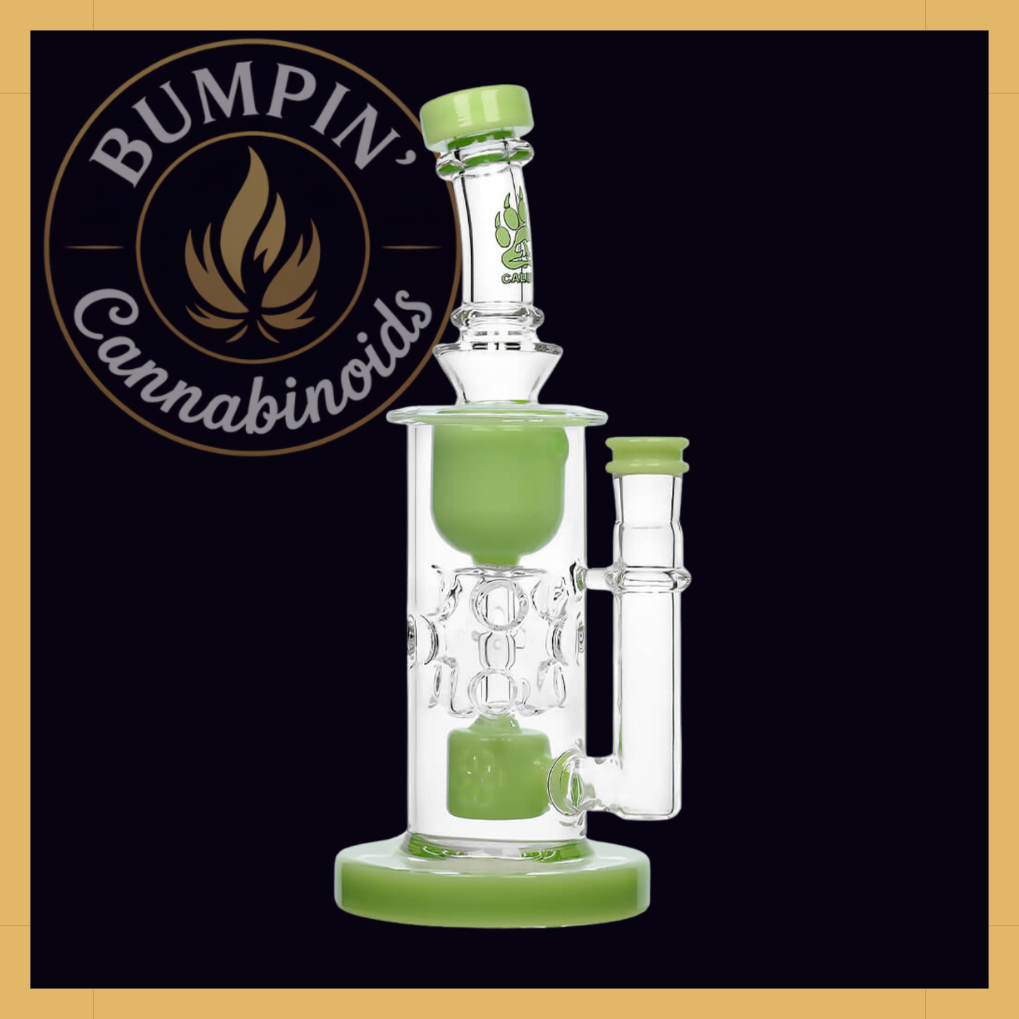 Calibear Straight Fab Torus Glass Rig | Seed of Life Perc