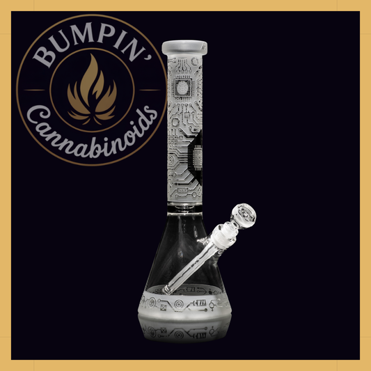Circuitboard 15" Clear Beaker Glass