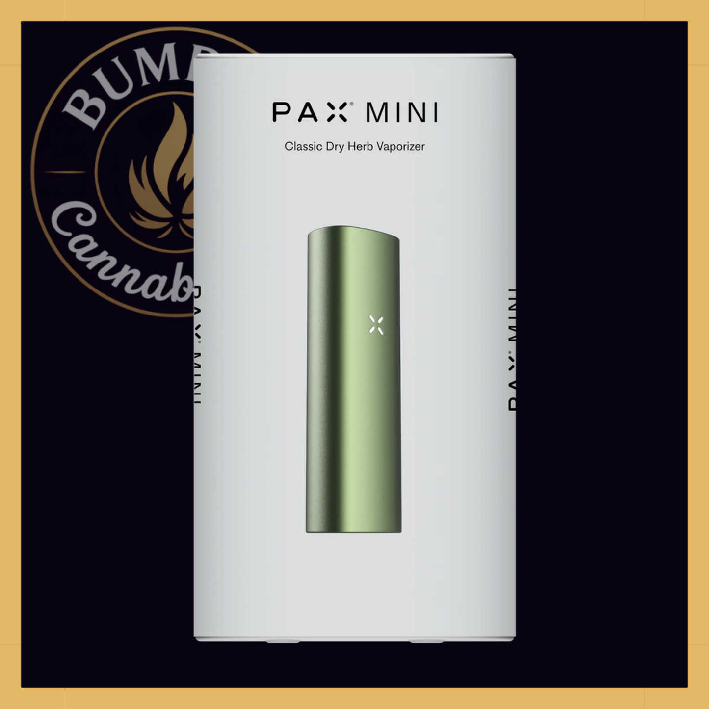 PAX Mini 2