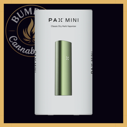 PAX Mini 2
