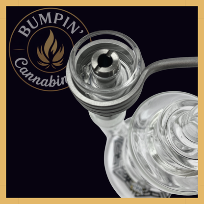 Quartz Terp Pearl 3-Pack