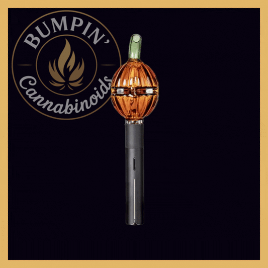 MJ Arsenal Gourdy – Pivot Top