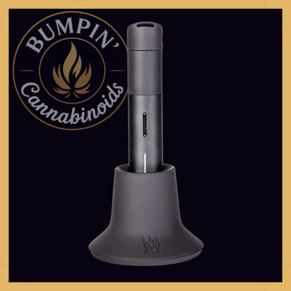 MJ Arsenal Gourdy – Pivot Top