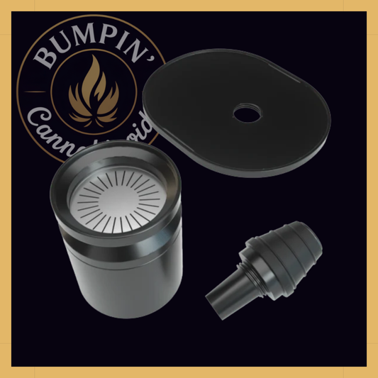 Infusion Chamber Assembly