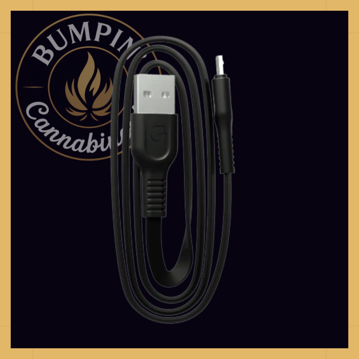 G Pen USB to USB-C 3-foot charging cable